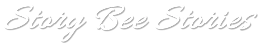 Story Bee Stories Books